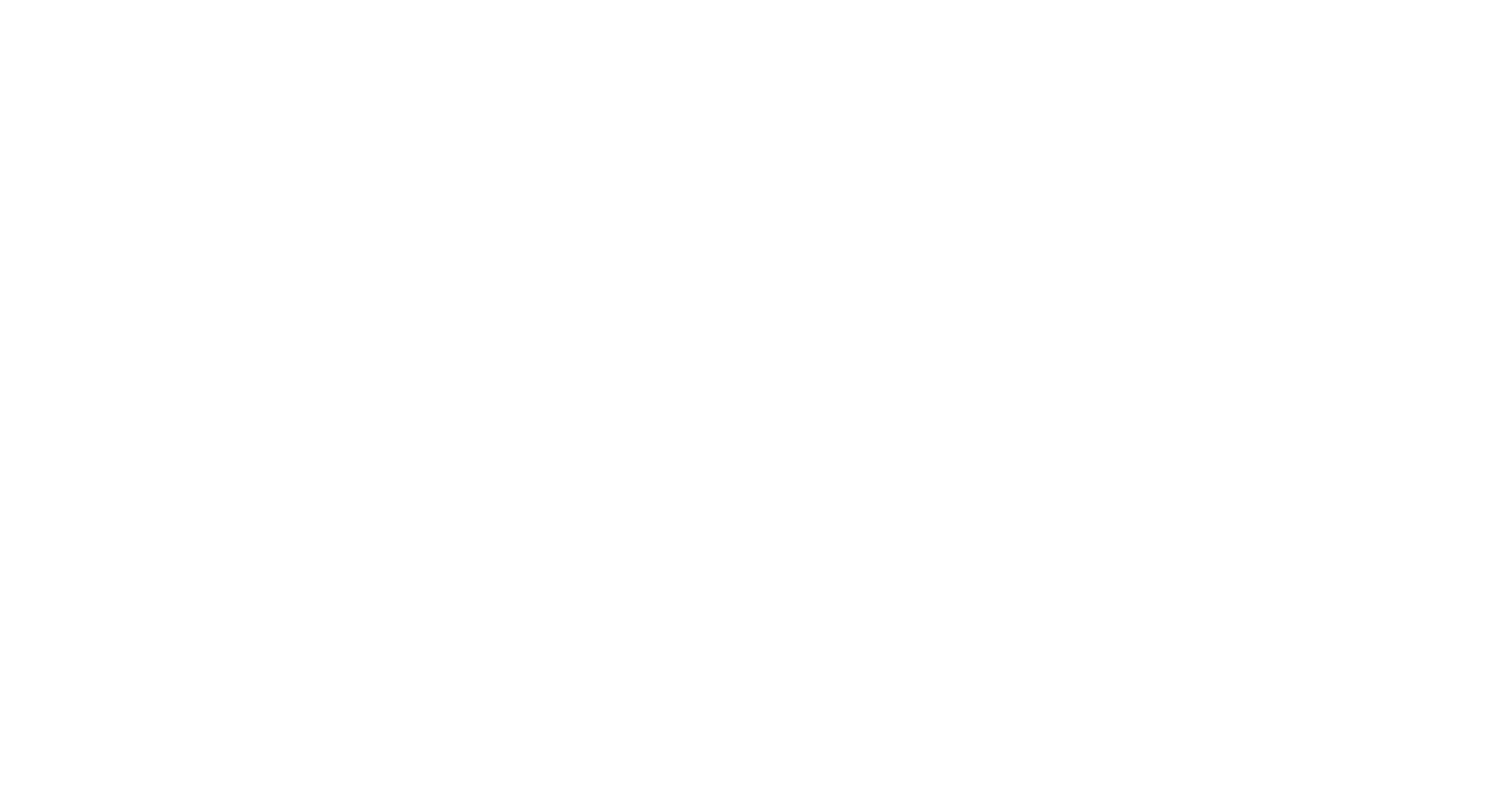 Nishman logo